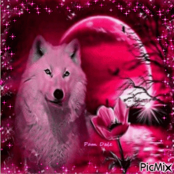 Pink Wolf - Nemokamas animacinis gif