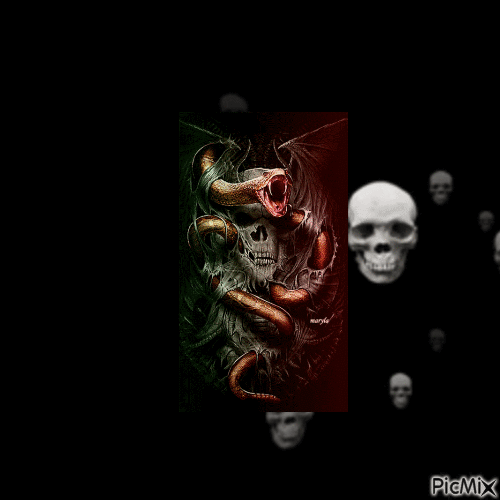 Skull and Snake - Zdarma animovaný GIF