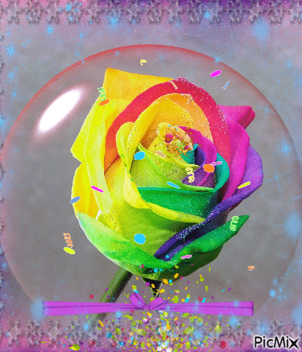 Farbige Rose - Darmowy animowany GIF
