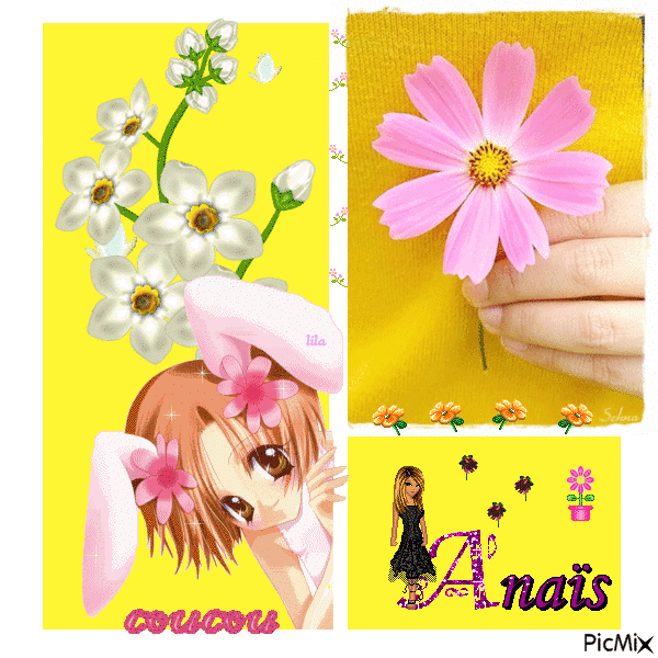 jaune rose fleurs - GIF animé gratuit