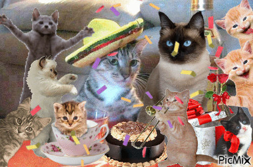 Birthday party - GIF animado grátis
