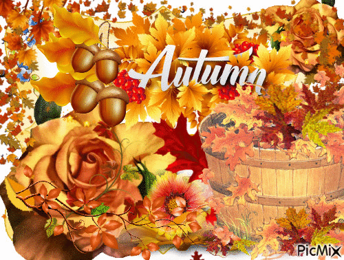 AUTUMN SCENE WITH AUTUMN FLOWERS. AND LEAVES OF ALL COLORS, ON THE GROUND AND FALLING. WITH AN AUTUMN SIGN. - Ingyenes animált GIF