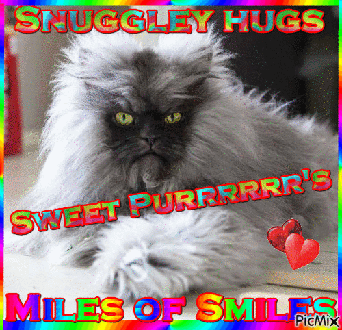 Snuggley hugs n sweet purrrrrr's - Gratis animerad GIF