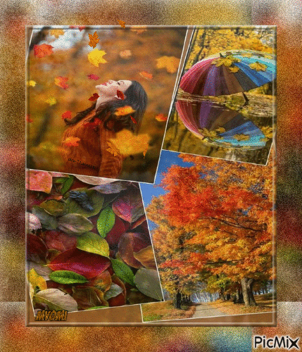 images d'automne - Gratis animeret GIF