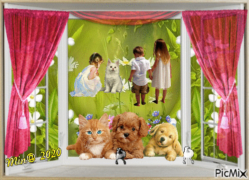 min@    fönster och katter barn 2020.11.17 - 無料のアニメーション GIF