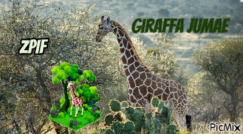 Giraffa Jumae - Ilmainen animoitu GIF