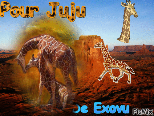 girafe - GIF animado gratis