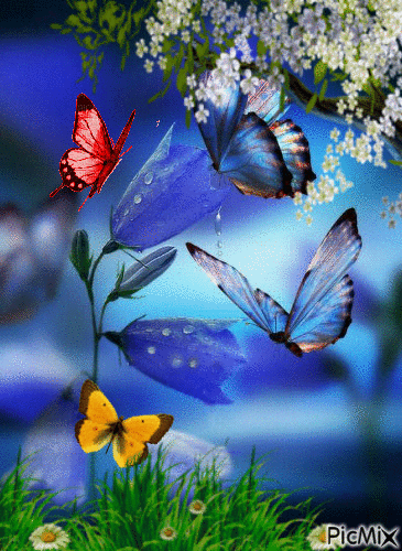 Sweet Butterfly - GIF animé gratuit