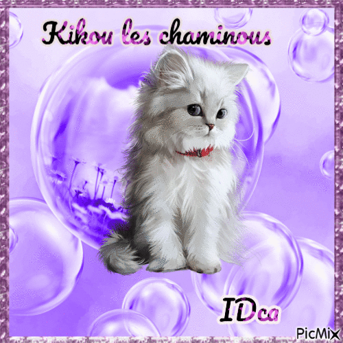 Kikou les chatons - Gratis geanimeerde GIF