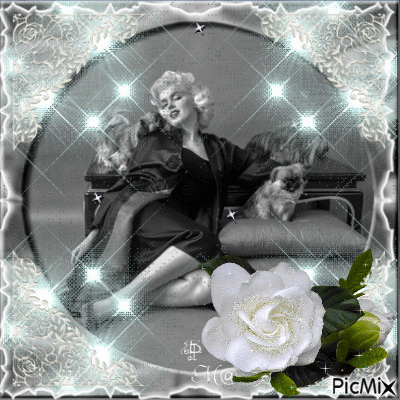 Marilyn Monroe #3 and her dogs. - Gratis geanimeerde GIF