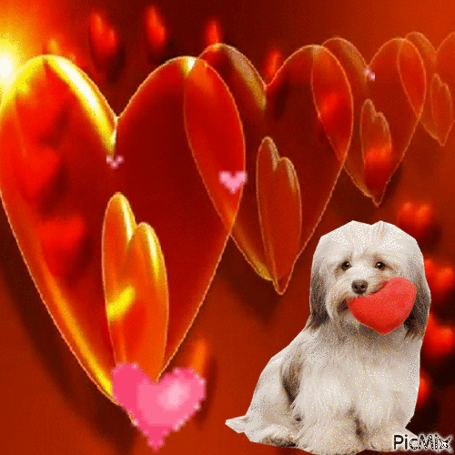 Valentine - Ingyenes animált GIF