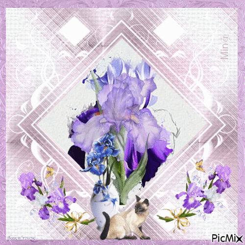 iris flowers - Δωρεάν κινούμενο GIF