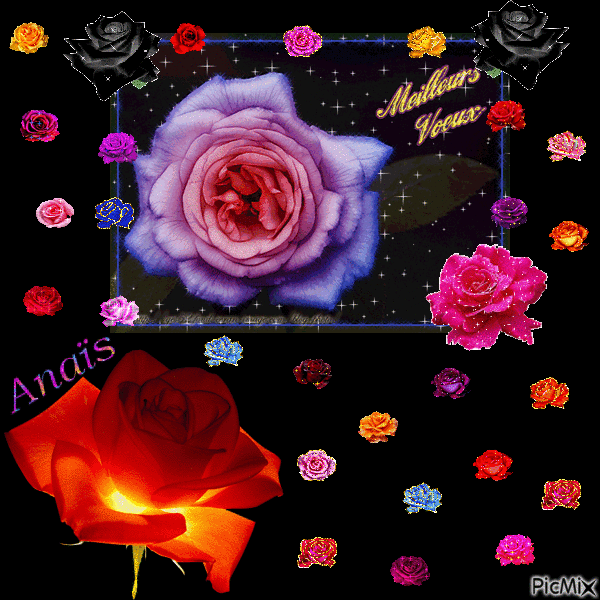 titre : plein de roses pour la nouvelle année ... - Zdarma animovaný GIF