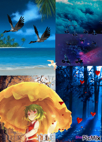 collage animé - GIF animé gratuit