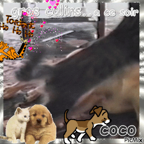 coco - Bezmaksas animēts GIF