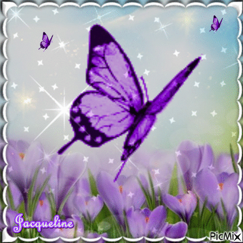 beaux papillons - Бесплатный анимированный гифка