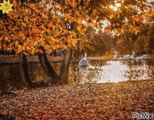 Златна есен в Бачиново. - GIF animado grátis