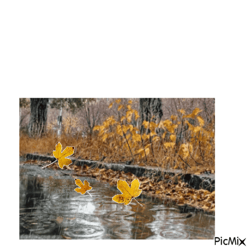 autunno - Gratis animerad GIF