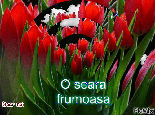 O SEARA FRUMOASA - Безплатен анимиран GIF