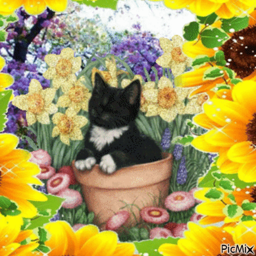 Cat in flowerpot - GIF animé gratuit
