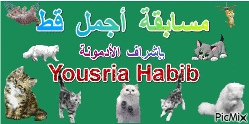 Yousria Habib - Безплатен анимиран GIF