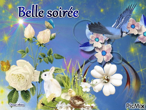Belle soirée - Zdarma animovaný GIF