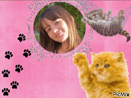 samy ♥ cats - Gratis animerad GIF