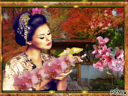 Китаянка и орхидея. - Zdarma animovaný GIF