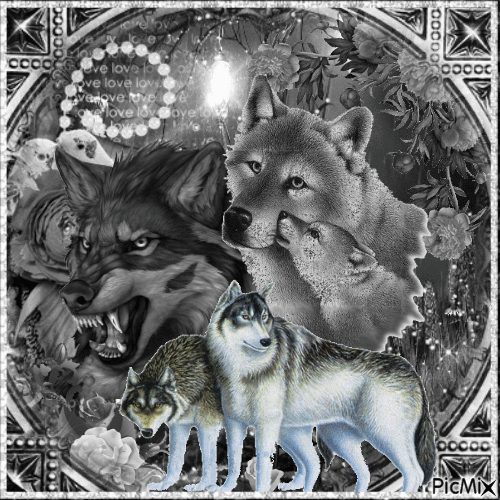 Loups - Art dans les tons gris - Ücretsiz animasyonlu GIF
