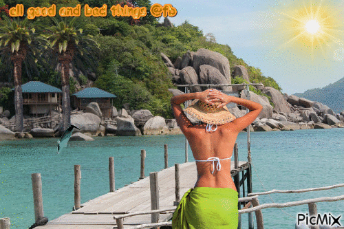 thailand woman sun fish dolphin sea palms - 免费动画 GIF