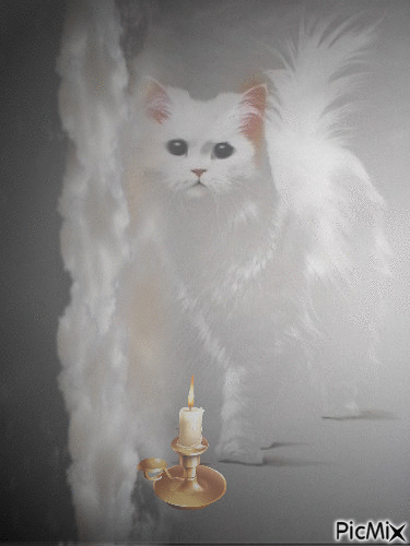 un chat dans les nuages - Darmowy animowany GIF