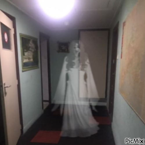 ghost woman - gratis png