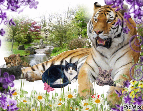 Тигр и котики - GIF animado grátis