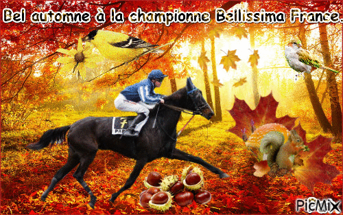 La championne Bellissima France. - GIF animé gratuit