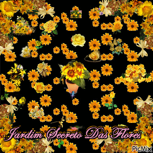 Jardim Secreto Das Flores - Δωρεάν κινούμενο GIF