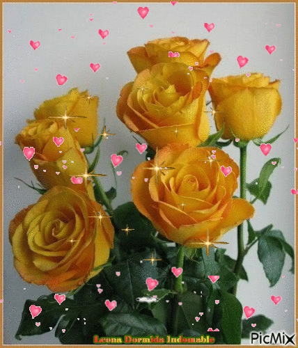 Rosas Amarillas - PicMix