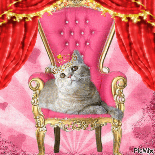 Queen Cat - GIF animé gratuit