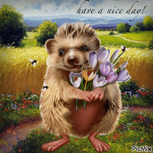 funny hedgehog - Animovaný GIF zadarmo