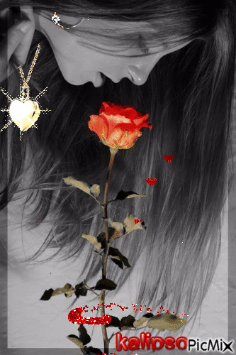 Róża królowa kwiatów.. - Безплатен анимиран GIF