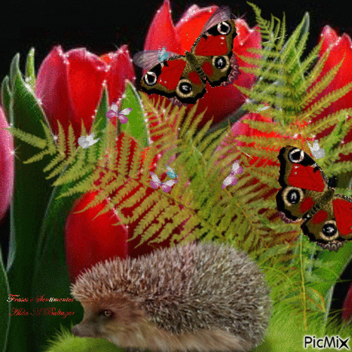 Pig thorn, butterflies and tulips - GIF animasi gratis