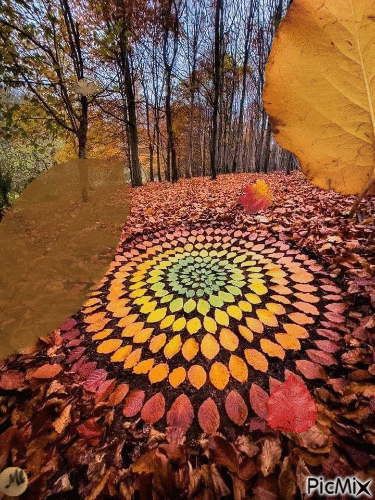 Mandala de hojas - GIF animado grátis