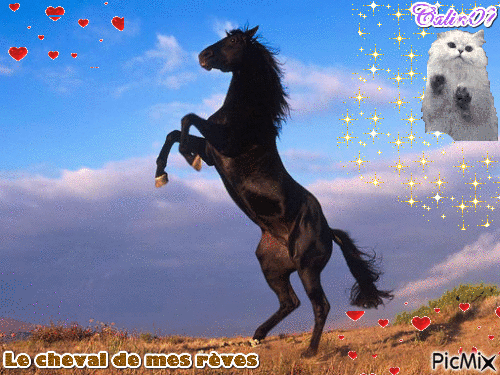 Love horse - GIF animado gratis