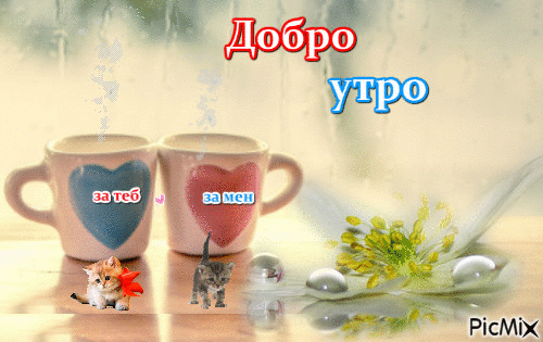 Кафе - Ingyenes animált GIF