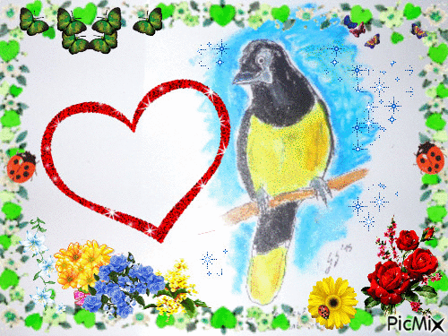 le géai acaché (oiseau) dessiné par Gino Gibilaro avec coccinelles,papillons,ceours et fleurs - Darmowy animowany GIF