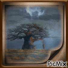 girafe orage - GIF animasi gratis