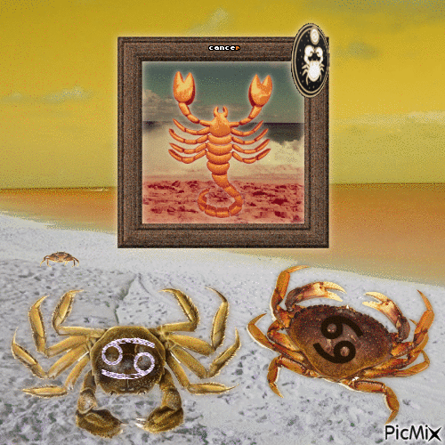 Crabs In The Beach - GIF animado grátis