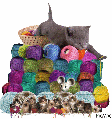 ébauche chat avec belote de laine - GIF animate gratis