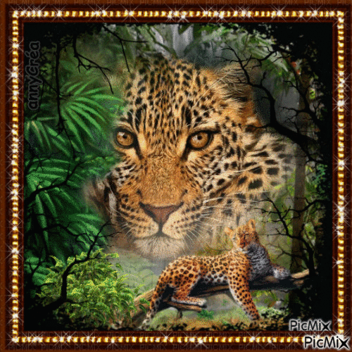Leopard - Gratis geanimeerde GIF