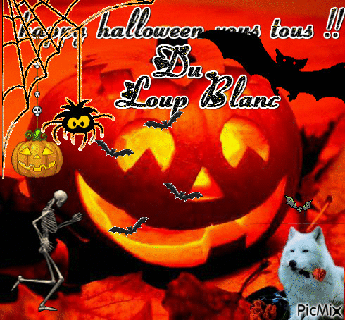 happy halloween !! - Free animated GIF
