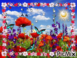 coquelicots - Free animated GIF